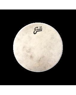 EVANS 12" CALFTONE