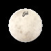 EVANS 12" CALFTONE