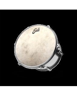 EVANS 13" CALFTONE-foto2
