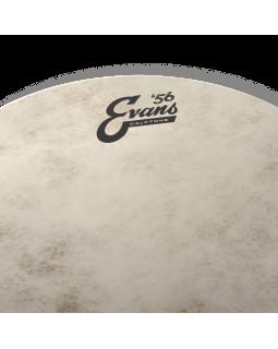 EVANS 14" CALFTONE-foto3