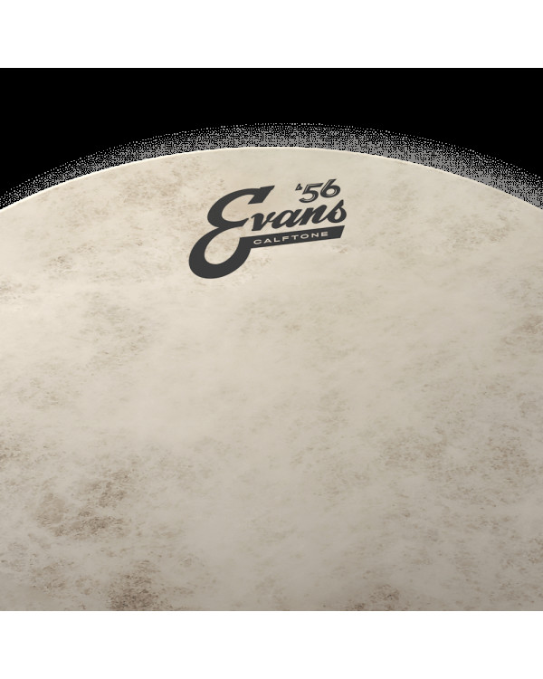 EVANS 14" CALFTONE