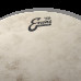 EVANS 14" CALFTONE
