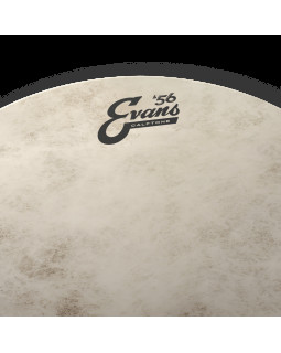 EVANS 16" CALFTONE-foto3