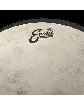 EVANS 16" CALFTONE-foto3