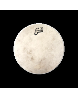 EVANS 16" CALFTONE