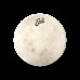 EVANS 16" CALFTONE
