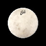 EVANS 16" CALFTONE