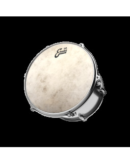 EVANS 18" CALFTONE-foto2