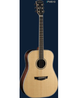 Акустична гітара Cort PW510 Nat w/case