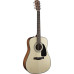 Гітара акустична FENDER CD100 NT