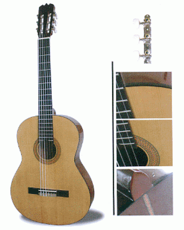 Гітара класична MAXTONE CGC-3906