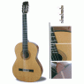 Гітара класична MAXTONE CGC-3906