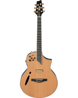 IBANEZ MSC 700 Montage NAT