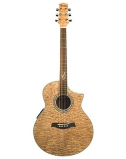 Акустична гітара IBANEZ EW20ASE-NT