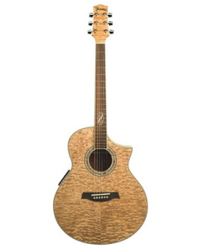 Акустична гітара IBANEZ EW20ASE-NT