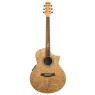 Акустична гітара IBANEZ EW20ASE-NT