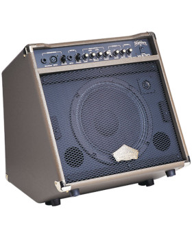 Комбопідсилювач Washburn WA30
