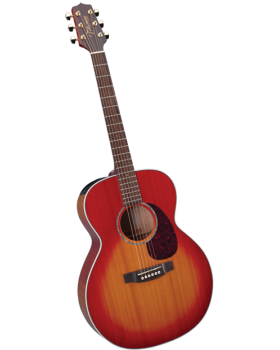 Електроакустична гітара TAKAMINE EG430S-VV Електроакустична гітара TAKAMINE EG430S-VV
