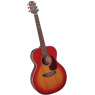 Електроакустична гітара TAKAMINE EG430S-VV