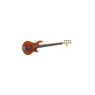 Бас-гітара GODIN Freeway 5 Bass Natural SG