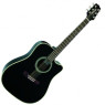 Електроакустична гітара TAKAMINE EG321C ВК