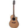 MAXTONE 4102C