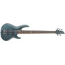 Бас-гітара ESP LTD B 105 (GSB)
