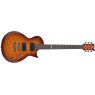Електрогітара ESP LTD EC100QM FCSB