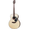 Акустична гітара TAKAMINE G220