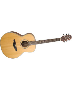 Акустична гітара TAKAMINE GS430S