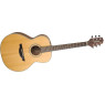 Акустична гітара TAKAMINE GS430S