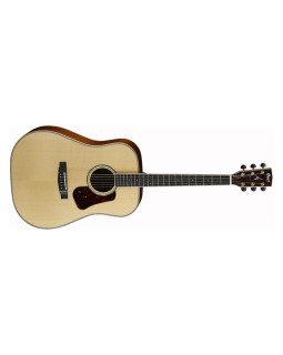 CORT EarthCustom M
