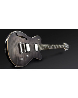 Електрогітара FRAMUS Panthera Classic Custom