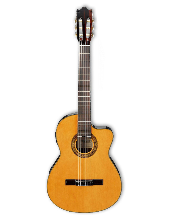 Гітара класична IBANEZ G5ECE AM