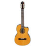 Гітара класична IBANEZ G5ECE AM