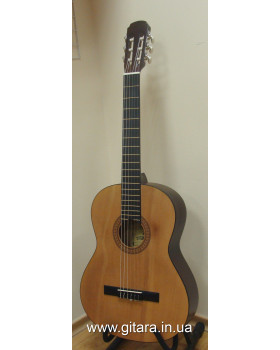 Гітара класична MAXTONE CGC-3902