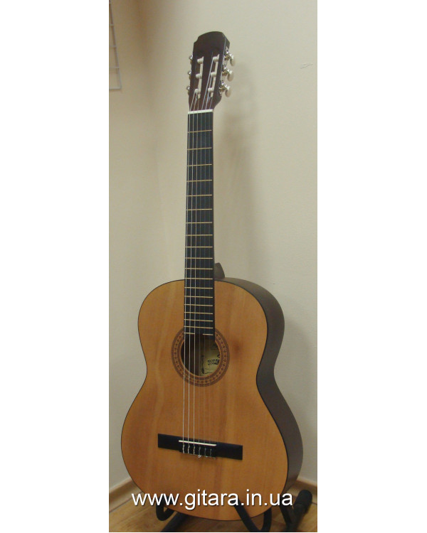 Гітара класична MAXTONE CGC-3902