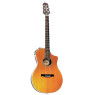 електроакустична гітара LINE VARIAXAcoustic700 nt