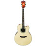 IBANEZ AEL40SE RLV Гітара електроакустична