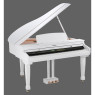 Цифровий рояль (дисклавір) ORLA GRAND 310