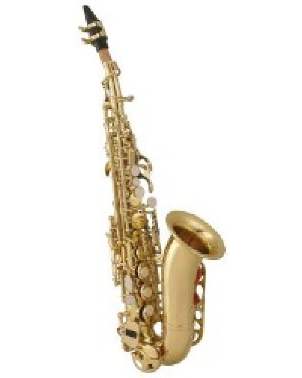 Саксофон Maxtone SSXC578L