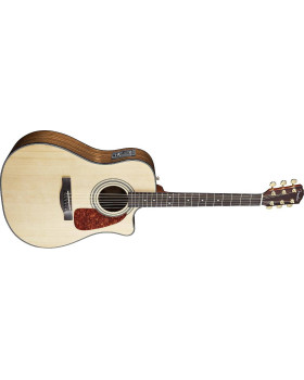 Гітара електроакустична FENDER CD-220 SCE ASIAN STRIPPED EBON