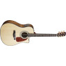Гітара електроакустична FENDER CD-220 SCE ASIAN STRIPPED EBON