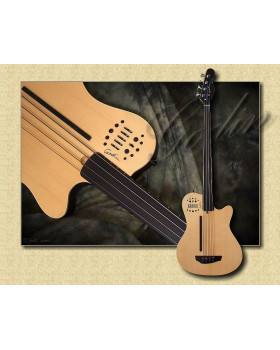 Бас-гітара GODIN A4 Ultra Fretless EN SA