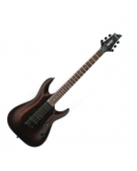 Електрогітара SCHECTER OMEN-6 WSN 2012