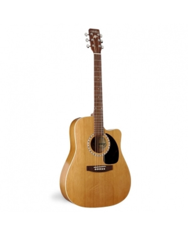 Акустична гітара CW Cedar QI 026531. 
