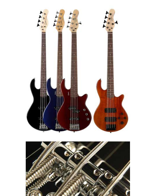 Бас-гітара GODIN FREEWAY 4 BASS Natural Flame SG