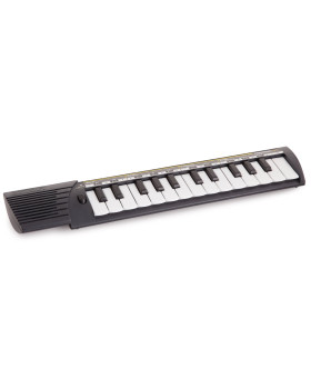 Синтезатор FARFISA-BONTEMPI C-25