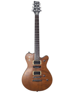 Електрогітара FRAMUS Panthera Studio Pro Bk