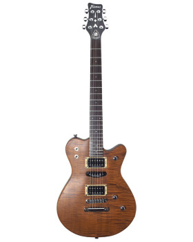 Електрогітара FRAMUS Panthera Studio Pro Bk